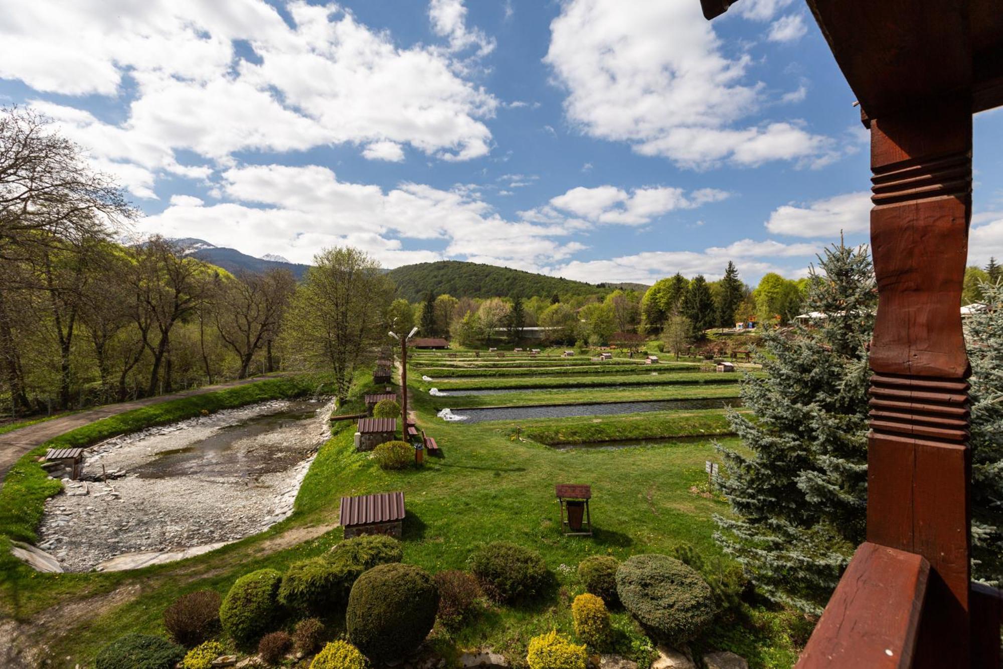 Complex Pastravaria Albota Hotel Arpaşu de Sus Buitenkant foto